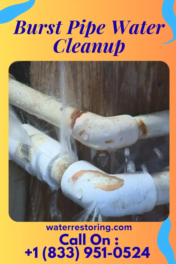 Burst Pipe Water Cleanup in Cedar Glen West, NJ