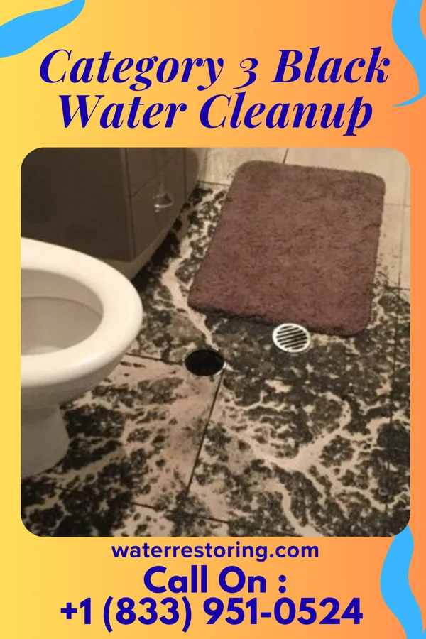 Category 3 Black Water Cleanup in Cedar Glen West, NJ