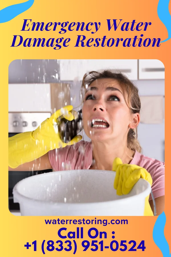 Emergency Water Damage Restoration in Cedar Glen West, NJ