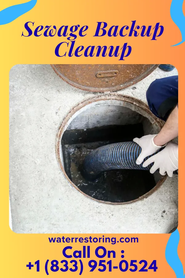 Sewage Backup Cleanup in Cedar Glen West, NJ